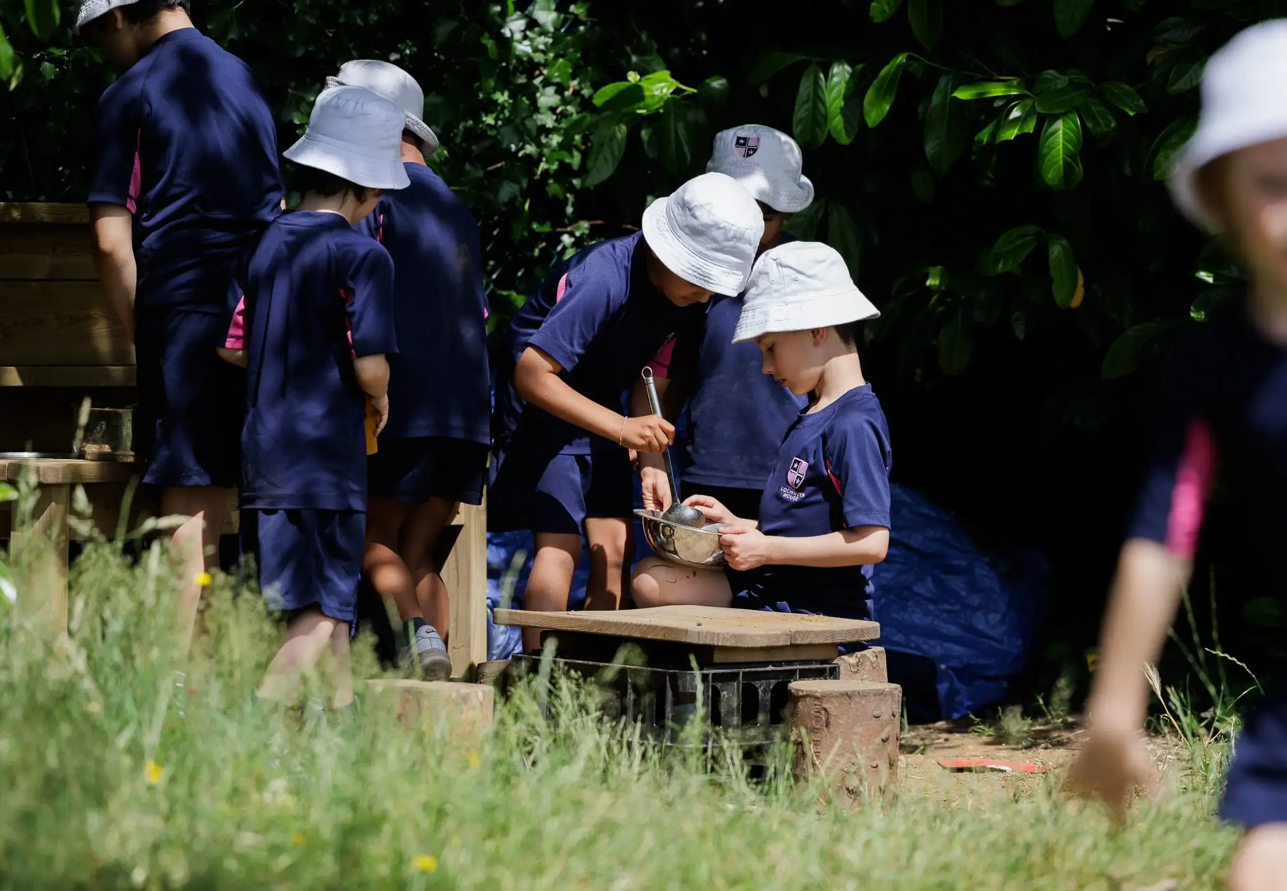 Large Image - Exp Admission Process 